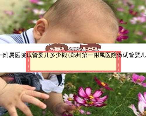 郑州第一附属医院试管婴儿多少钱(郑州第一附属医院做试管婴儿多少钱)